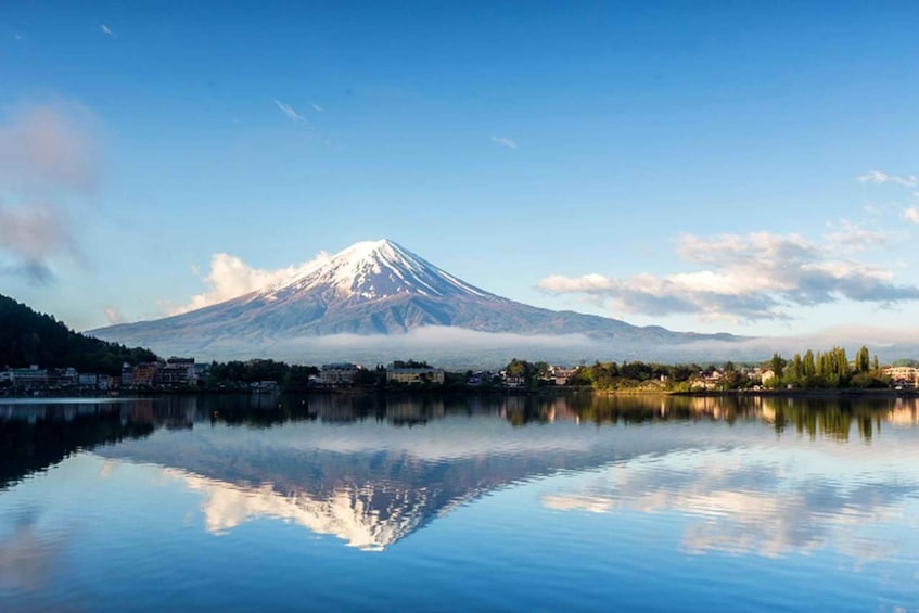 Picture 2 for Activity Tokyo: Mt.Fuji & Lake Kawaguchi Scenic 1Day Bus Tour w/ Meal