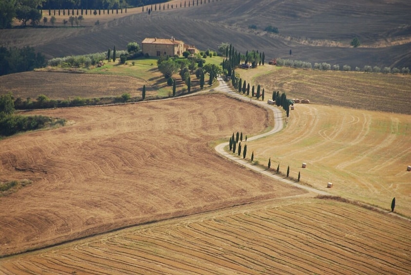 Private Tour: Medieval Val d'Orcia by Minivan from Florence