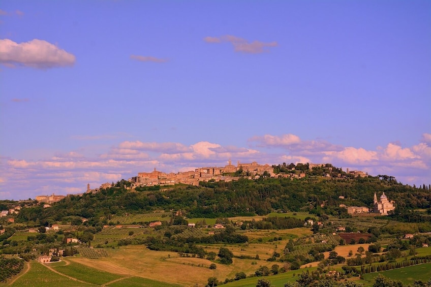 Private Tour: Medieval Val d'Orcia by Minivan from Florence