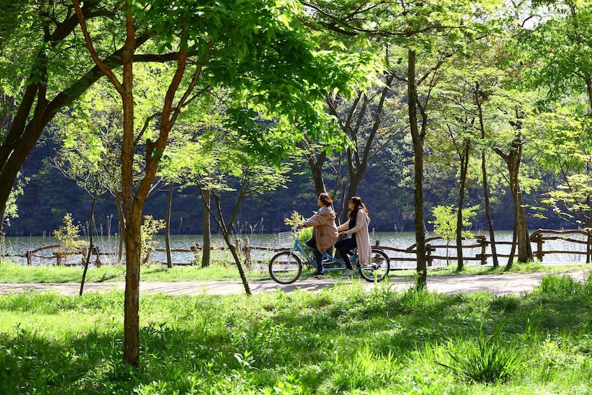 Picture 18 for Activity Seoul: Nami Island with Garden & Petite France (+ Railbike)
