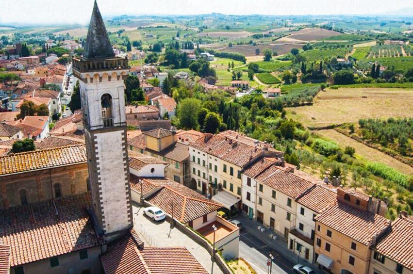 Private Minivan Excursion to Pisa and Vinci 