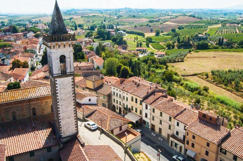 Private Minivan Excursion to Pisa and Vinci