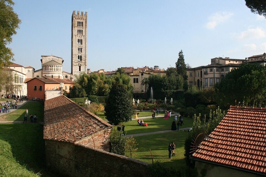 Private minivan excursion to Lucca