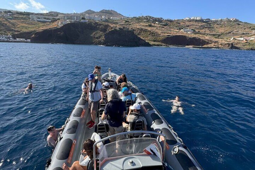 Whale and Dolphin Watching Tour from Funchal