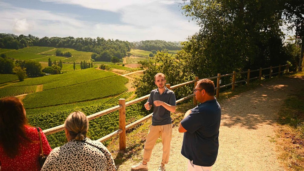 Picture 1 for Activity Saint-Émilion: Grand Cru Classé Winery Visit and Tasting