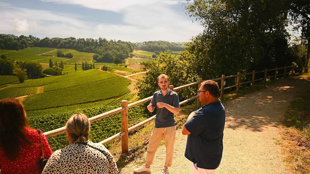 Picture 1 for Activity Saint-Émilion: Grand Cru Classé Winery Visit and Tasting