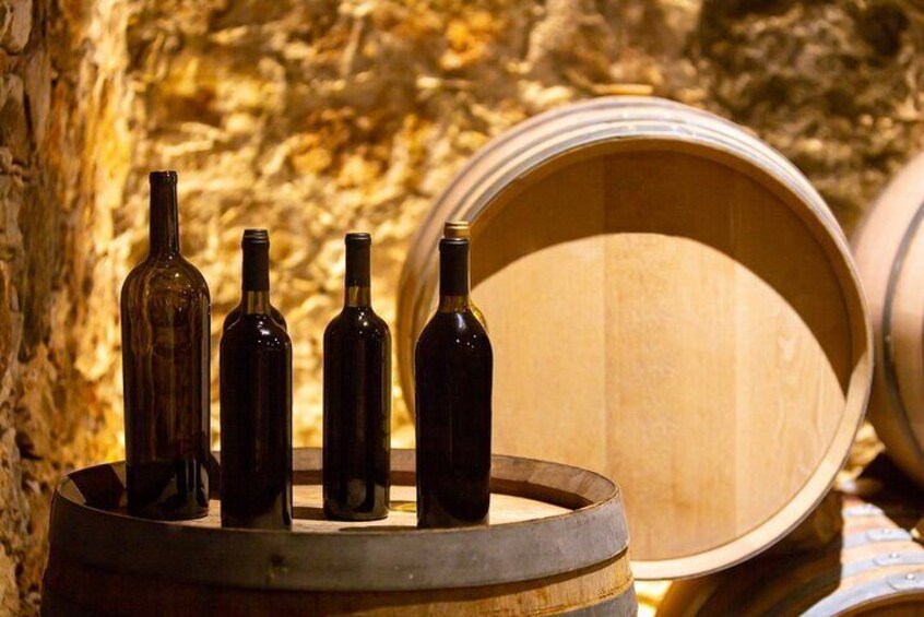 Half Day Private Canelones Wine Tour from Montevideo