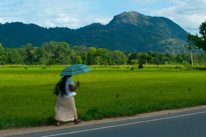 Picture 21 for Activity Sigiriya Day Trip From Kandy (Private One Day Tour)