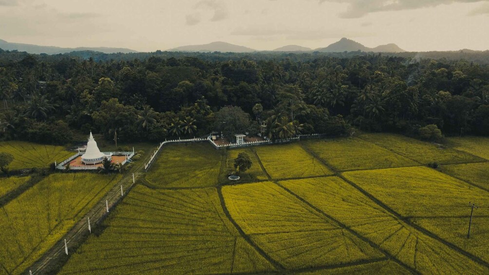 Picture 15 for Activity Sigiriya Day Trip From Kandy (Private One Day Tour)