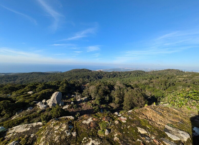 Picture 17 for Activity Sintra-Cascais: Private Tour w/Hotel Pickup
