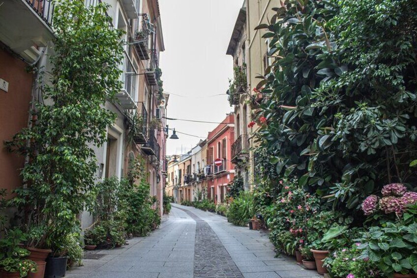 3 Hours Private Guided Tour of the Historical Quarters of Cagliari