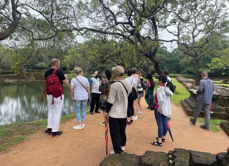 Picture 18 for Activity From Colombo: Sigiriya and Dambulla Day Trip and Safari