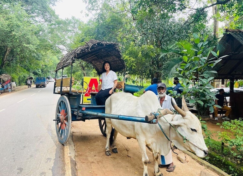 Picture 29 for Activity From Colombo: Sigiriya and Dambulla Day Trip and Safari
