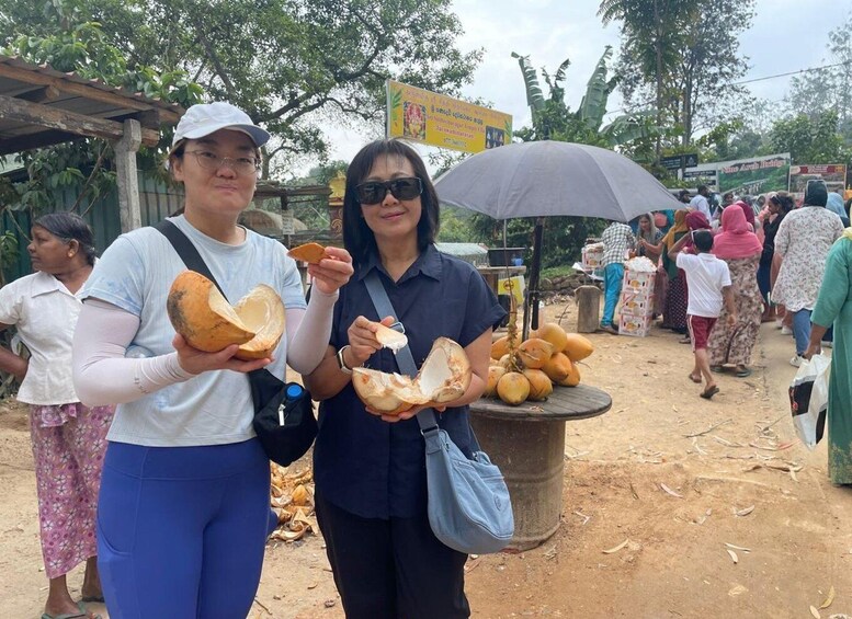 Picture 30 for Activity From Colombo: Sigiriya and Dambulla Day Trip and Safari
