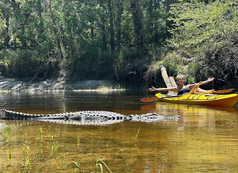 Picture 12 for Activity Orlando Alligator Experience: Day-Trip From Orlando