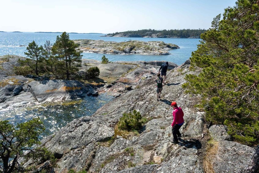 Picture 13 for Activity Stockholm: Full-Day Archipelago Kayaking Adventure