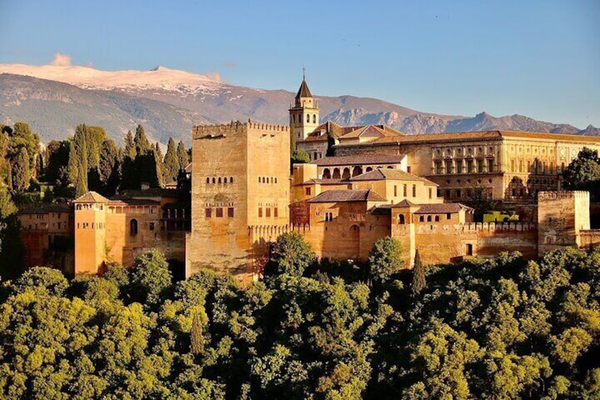 Alhambra and Nasrid Palaces: Skip-the-line Ticket and Local Guide