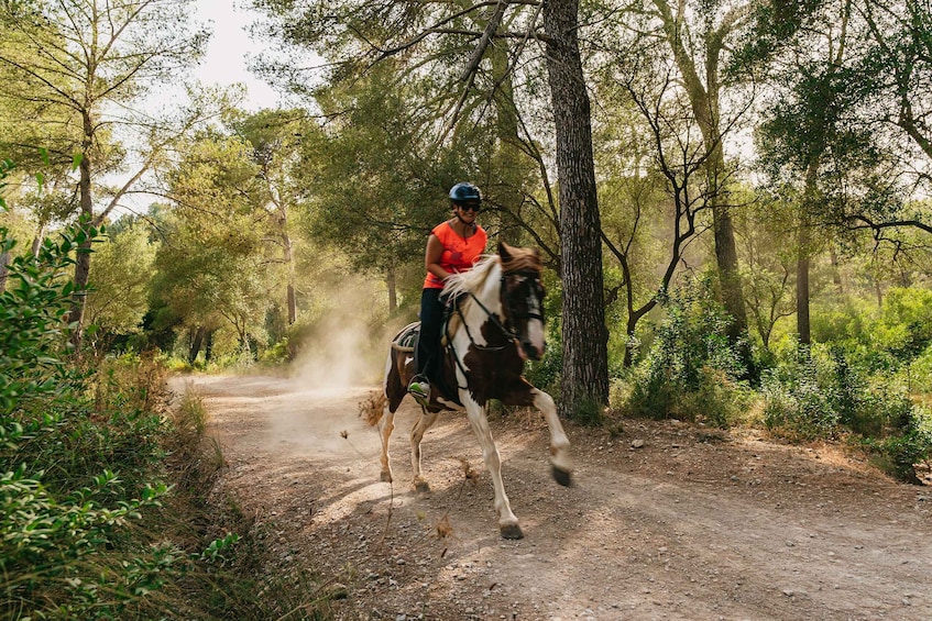 Picture 15 for Activity Mallorca: Horseback Riding Experience with Food Options