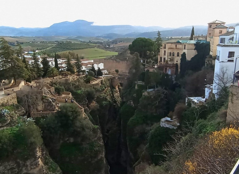 Picture 2 for Activity Malaga: Ronda & Setenil de las Bodegas Trip