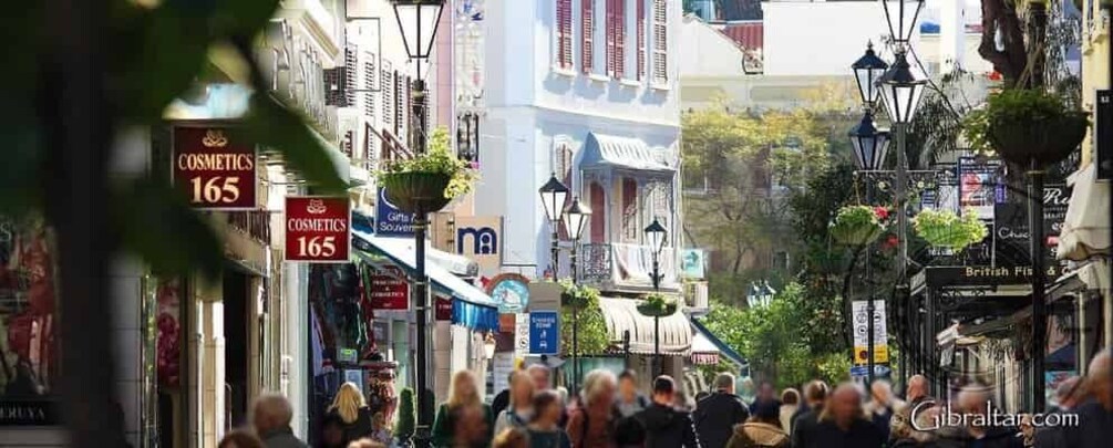 Picture 3 for Activity From Malaga: Private day trip to the Rock of Gibraltar