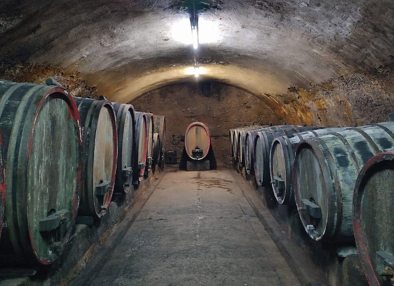 Picture 5 for Activity Private Rhine Valley tour with river cruise & wine tasting