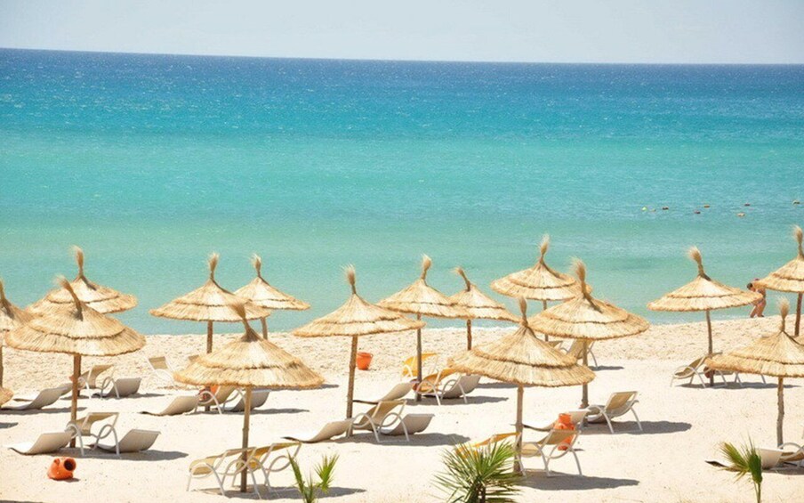 Picture 4 for Activity From Tunis or Hammamet: Hammamet and Nabeul Tour