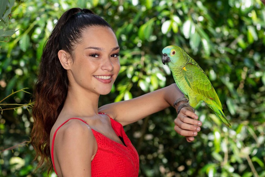 Picture 2 for Activity Kuranda: Birdworld Entry Ticket
