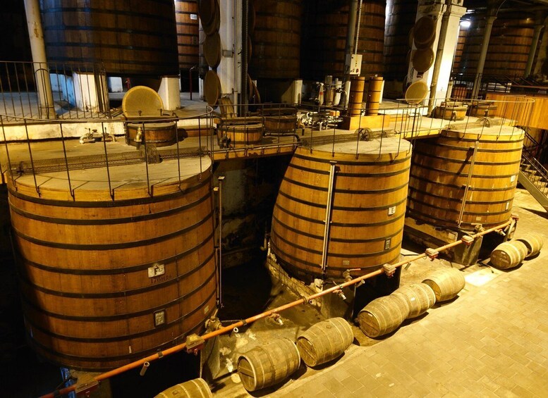Picture 1 for Activity From Bordeaux: Cognac Private Wine Tour