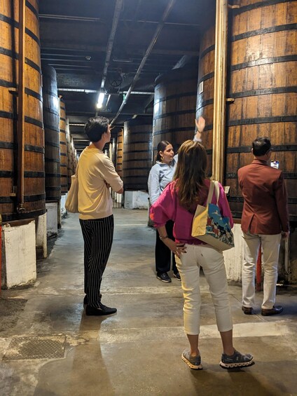 Picture 10 for Activity From Bordeaux: Cognac Private Wine Tour