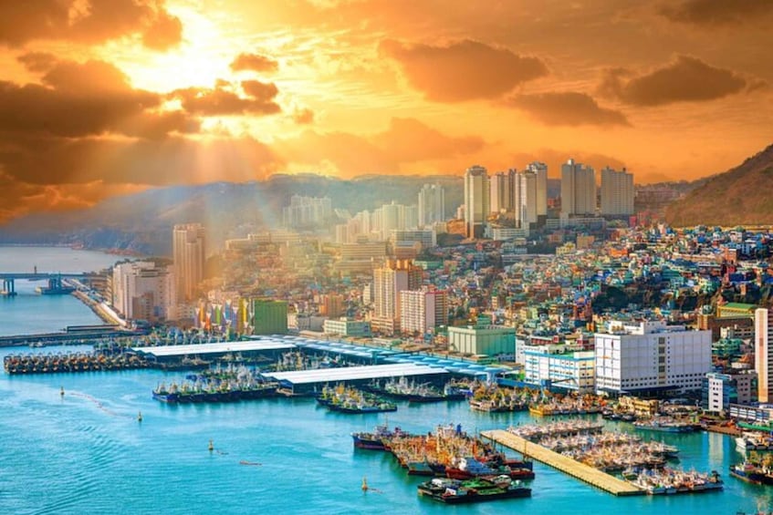 Picture 2 for Activity Busan: Private Custom Tour with a Local Guide