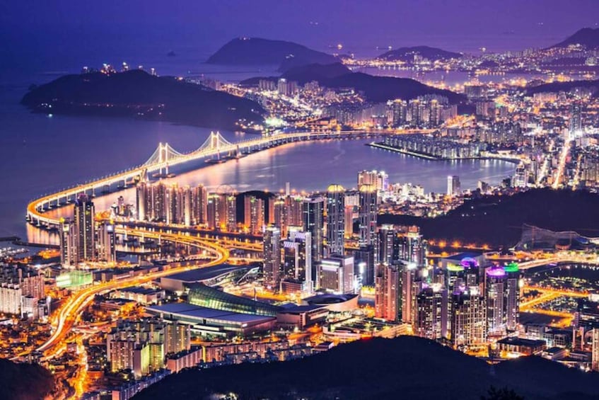 Picture 4 for Activity Busan: Private Custom Tour with a Local Guide
