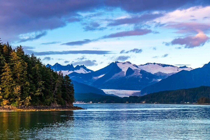Picture 5 for Activity From Juneau: Whale Watching Cruise with Snacks