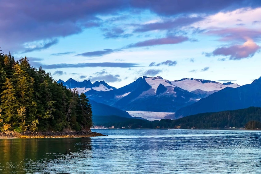 Picture 5 for Activity From Juneau: Whale Watching Cruise with Snacks