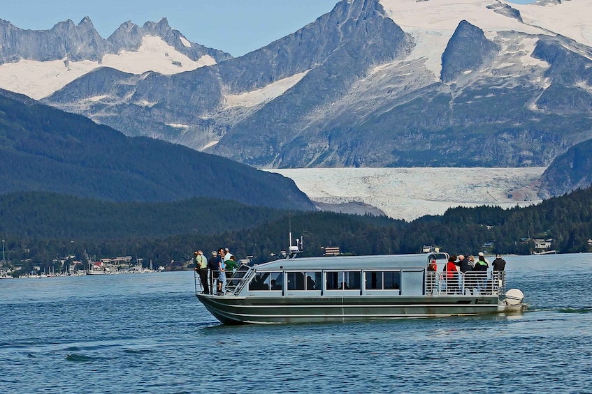 From Juneau: Whale Watching Cruise with Snacks