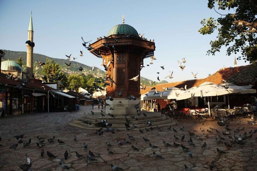 Picture 1 for Activity Sarajevo : Private Walking Tour With A Guide (Private Tour)