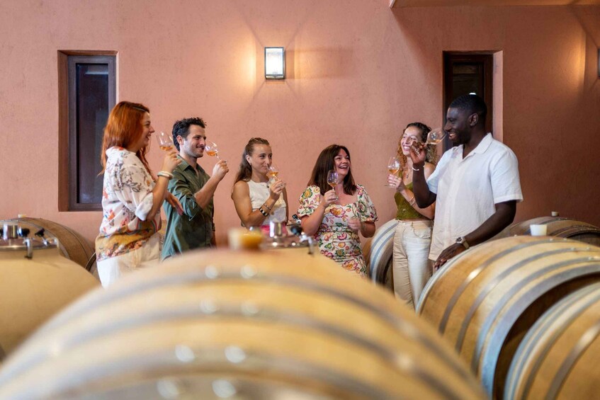 Picture 8 for Activity Cannes: Provence Wine Tour - Private Tour from Cannes