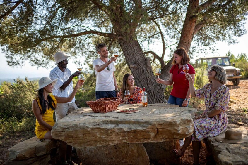 Picture 3 for Activity Cannes: Provence Wine Tour - Private Tour from Cannes