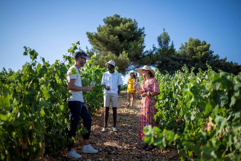 Picture 1 for Activity Cannes: Provence Wine Tour - Private Tour from Cannes