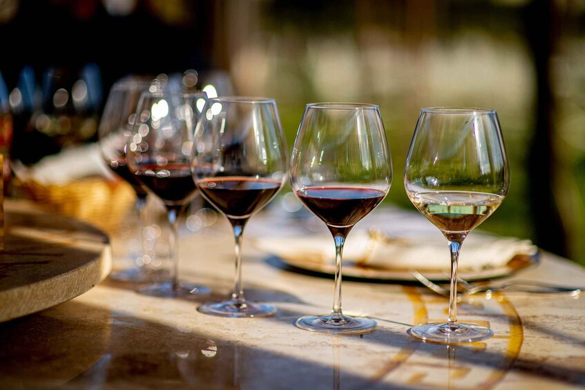 Picture 4 for Activity Dinner in Winery Garden and Wine Tasting in San Gimignano