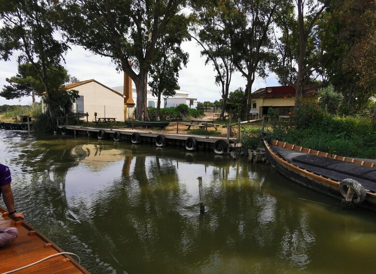 Picture 3 for Activity Valencia: Albufera Natural Park Bike and Boat Tour