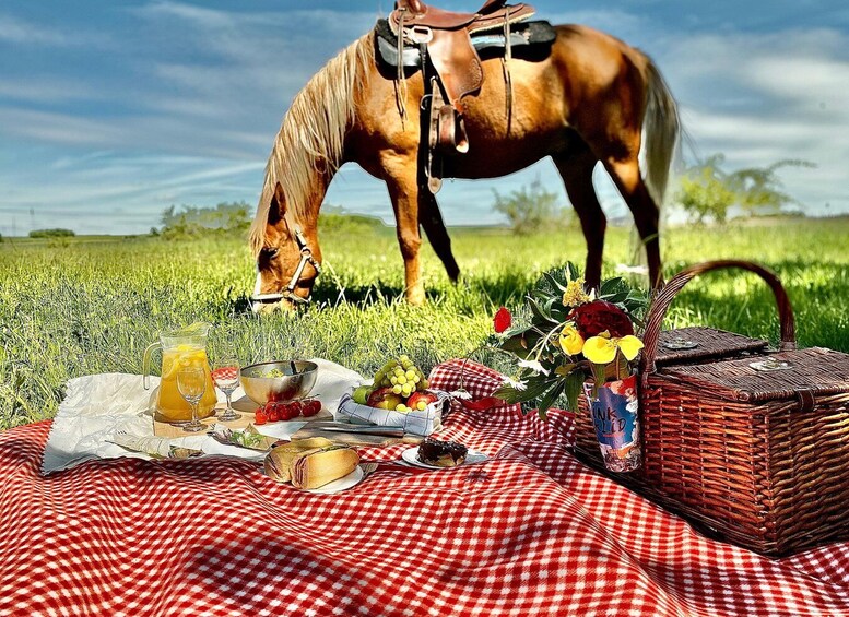 Picture 9 for Activity Horseback riding tour near Prague