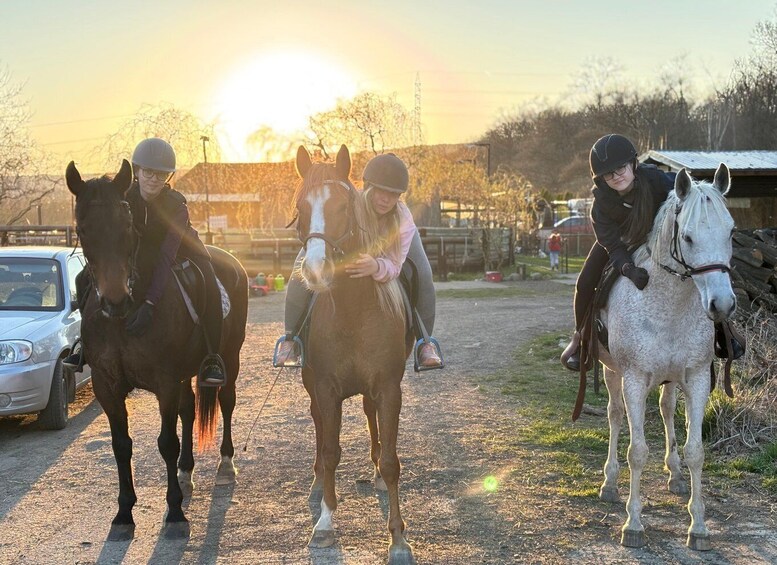 Picture 12 for Activity Horseback riding tour near Prague