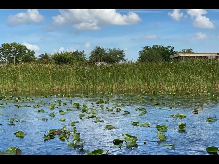 Everglades National Park & Airboat tour From Fontainebleau Hotel