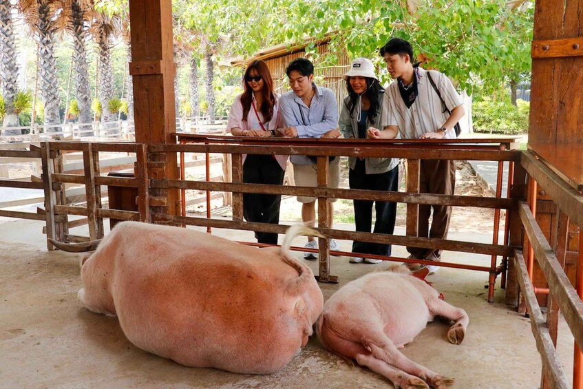 Picture 8 for Activity Bangkok: Damnoen Saduak and Train Market with Boat Ride