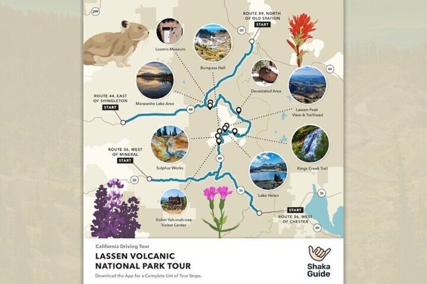 California Adventure Bundle: 8 Self-Guided Audio Tours