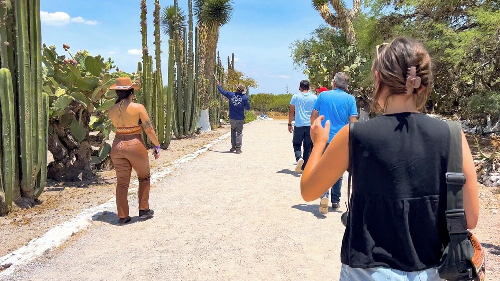 Tula, Teotihuacan & Tepotzotlan Small Group Tour