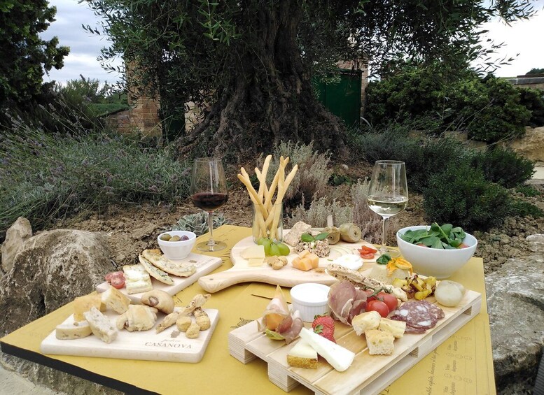 Picture 5 for Activity Montepulciano: Tuscan Winery Tour with Wine Tasting & Meal