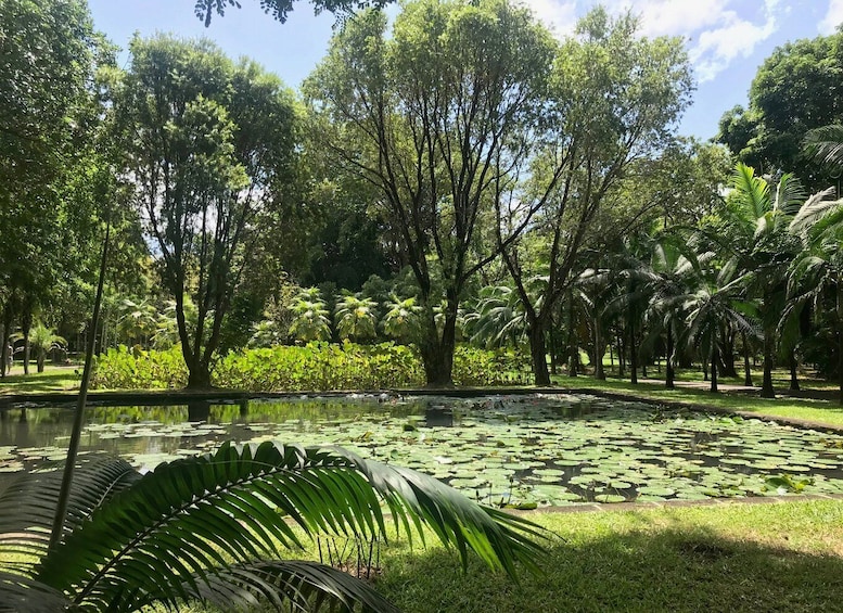 Picture 13 for Activity Mauritius: Private Full-Day Instagram Tour
