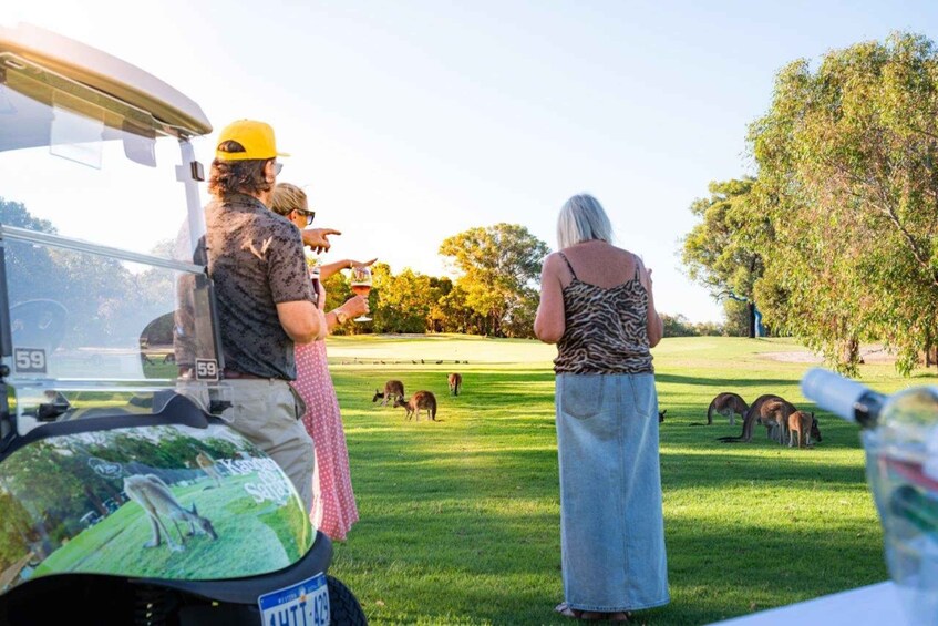 Picture 2 for Activity Swan Valley: Golf Cart Kangaroo Safari w/ Mini Golf & Drink