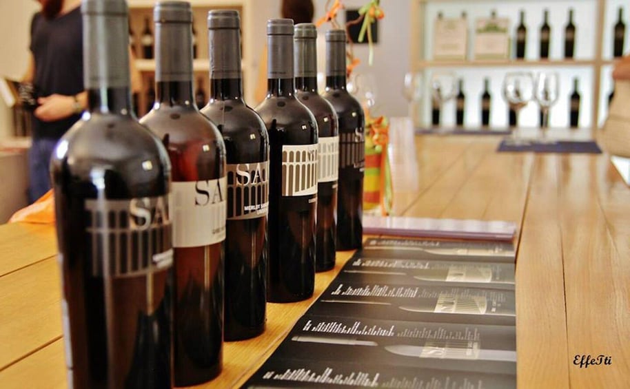 Picture 4 for Activity Assisi: Wine tasting, gourmet pairing, walk in the vineyards